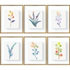 image:imageGolden State Art 11x14 Floating Picture Frame Aluminum Tempered Clear Glass Displays Any Size Photo Up to 11 x 14 for Home or Gallery Decoration Gold 6 PackBronze