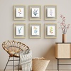 image:imageGolden State Art 11x14 Floating Picture Frame Aluminum Tempered Clear Glass Displays Any Size Photo Up to 11 x 14 for Home or Gallery Decoration Gold 6 PackGold