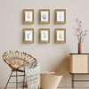 image:imageGolden State Art 11x14 Floating Picture Frame Aluminum Tempered Clear Glass Displays Any Size Photo Up to 11 x 14 for Home or Gallery Decoration Gold 6 PackBronze
