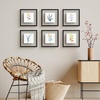 image:imageGolden State Art 11x14 Floating Picture Frame Aluminum Tempered Clear Glass Displays Any Size Photo Up to 11 x 14 for Home or Gallery Decoration Gold 6 PackBlack