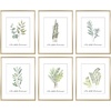 image:imageGolden State Art 11x14 Gold Picture Frame Displays Photo 8x10 with Mat or 11 x 14 Without Mat for Wall Mounting Classic Satin Aluminum Frames with Real Glass Pack of 1Gold