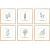 image:imageGolden State Art 11x14 Gold Picture Frame Displays Photo 8x10 with Mat or 11 x 14 Without Mat for Wall Mounting Classic Satin Aluminum Frames with Real Glass Pack of 1Rose Gold