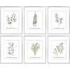 image:imageGolden State Art 11x14 Gold Picture Frame Displays Photo 8x10 with Mat or 11 x 14 Without Mat for Wall Mounting Classic Satin Aluminum Frames with Real Glass Pack of 1Silver