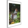 image:imageGolden State Art 11x14 Picture Frame 3 Pack  Aluminum Frames with 8x10 Removable Mats amp Real Glass Display 11x14 Posters or 8x10 Photos  Gold Gallery Wall Frames for Home Office DecorSilver
