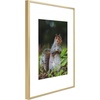 image:imageGolden State Art 11x14 Picture Frame 3 Pack  Aluminum Frames with 8x10 Removable Mats amp Real Glass Display 11x14 Posters or 8x10 Photos  Gold Gallery Wall Frames for Home Office DecorGold