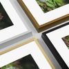 image:imageGolden State Art 11x14 Picture Frame 3 Pack  Aluminum Frames with 8x10 Removable Mats amp Real Glass Display 11x14 Posters or 8x10 Photos  Gold Gallery Wall Frames for Home Office DecorBronze