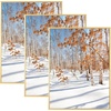 image:imageGolden State Art 11x14 Picture Frame 3 Pack  Aluminum Frames with 8x10 Removable Mats amp Real Glass Display 11x14 Posters or 8x10 Photos  Gold Gallery Wall Frames for Home Office DecorGold
