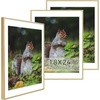 image:imageGolden State Art 11x14 Picture Frame 3 Pack  Aluminum Frames with 8x10 Removable Mats amp Real Glass Display 11x14 Posters or 8x10 Photos  Gold Gallery Wall Frames for Home Office DecorGold