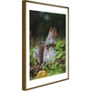 image:imageGolden State Art 11x14 Picture Frame 3 Pack  Aluminum Frames with 8x10 Removable Mats amp Real Glass Display 11x14 Posters or 8x10 Photos  Gold Gallery Wall Frames for Home Office DecorBronze
