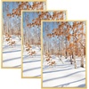 image:imageGolden State Art 11x14 Picture Frame 3 Pack  Aluminum Frames with 8x10 Removable Mats amp Real Glass Display 11x14 Posters or 8x10 Photos  Gold Gallery Wall Frames for Home Office DecorGold