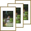 image:imageGolden State Art 11x14 Picture Frame 3 Pack  Aluminum Frames with 8x10 Removable Mats amp Real Glass Display 11x14 Posters or 8x10 Photos  Gold Gallery Wall Frames for Home Office DecorBronze