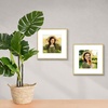 image:imageGolden State Art 11x14 Picture Frame 3 Pack  Aluminum Frames with 8x10 Removable Mats amp Real Glass Display 11x14 Posters or 8x10 Photos  Gold Gallery Wall Frames for Home Office DecorGold