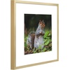 image:imageGolden State Art 11x14 Picture Frame 3 Pack  Aluminum Frames with 8x10 Removable Mats amp Real Glass Display 11x14 Posters or 8x10 Photos  Gold Gallery Wall Frames for Home Office DecorGold