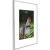 image:imageGolden State Art 11x14 Picture Frame 3 Pack  Aluminum Frames with 8x10 Removable Mats amp Real Glass Display 11x14 Posters or 8x10 Photos  Gold Gallery Wall Frames for Home Office DecorSilver