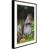 image:imageGolden State Art 11x14 Picture Frame 3 Pack  Aluminum Frames with 8x10 Removable Mats amp Real Glass Display 11x14 Posters or 8x10 Photos  Gold Gallery Wall Frames for Home Office DecorBlack