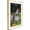 image:imageGolden State Art 11x14 Picture Frame 3 Pack  Aluminum Frames with 8x10 Removable Mats amp Real Glass Display 11x14 Posters or 8x10 Photos  Gold Gallery Wall Frames for Home Office DecorGold