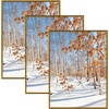image:imageGolden State Art 11x14 Picture Frame 3 Pack  Aluminum Frames with 8x10 Removable Mats amp Real Glass Display 11x14 Posters or 8x10 Photos  Gold Gallery Wall Frames for Home Office DecorBronze