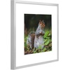 image:imageGolden State Art 11x14 Picture Frame 3 Pack  Aluminum Frames with 8x10 Removable Mats amp Real Glass Display 11x14 Posters or 8x10 Photos  Gold Gallery Wall Frames for Home Office DecorSilver