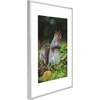 image:imageGolden State Art 11x14 Picture Frame 3 Pack  Aluminum Frames with 8x10 Removable Mats amp Real Glass Display 11x14 Posters or 8x10 Photos  Gold Gallery Wall Frames for Home Office DecorSilver