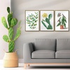image:imageGolden State Art 11x14 Picture Frame 3 Pack  Aluminum Frames with 8x10 Removable Mats amp Real Glass Display 11x14 Posters or 8x10 Photos  Gold Gallery Wall Frames for Home Office DecorBronze