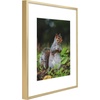 image:imageGolden State Art 11x14 Picture Frame 3 Pack  Aluminum Frames with 8x10 Removable Mats amp Real Glass Display 11x14 Posters or 8x10 Photos  Gold Gallery Wall Frames for Home Office DecorGold
