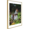 image:imageGolden State Art 11x14 Picture Frame 3 Pack  Aluminum Frames with 8x10 Removable Mats amp Real Glass Display 11x14 Posters or 8x10 Photos  Gold Gallery Wall Frames for Home Office DecorGold