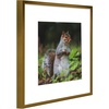 image:imageGolden State Art 11x14 Picture Frame 3 Pack  Aluminum Frames with 8x10 Removable Mats amp Real Glass Display 11x14 Posters or 8x10 Photos  Gold Gallery Wall Frames for Home Office DecorBronze
