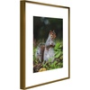 image:imageGolden State Art 11x14 Picture Frame 3 Pack  Aluminum Frames with 8x10 Removable Mats amp Real Glass Display 11x14 Posters or 8x10 Photos  Gold Gallery Wall Frames for Home Office DecorBronze