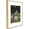 image:imageGolden State Art 11x14 Picture Frame 3 Pack  Aluminum Frames with 8x10 Removable Mats amp Real Glass Display 11x14 Posters or 8x10 Photos  Gold Gallery Wall Frames for Home Office DecorGold