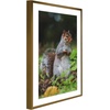 image:imageGolden State Art 11x14 Picture Frame 3 Pack  Aluminum Frames with 8x10 Removable Mats amp Real Glass Display 11x14 Posters or 8x10 Photos  Gold Gallery Wall Frames for Home Office DecorBronze