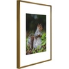 image:imageGolden State Art 11x14 Picture Frame 3 Pack  Aluminum Frames with 8x10 Removable Mats amp Real Glass Display 11x14 Posters or 8x10 Photos  Gold Gallery Wall Frames for Home Office DecorBronze