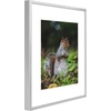 image:imageGolden State Art 11x14 Picture Frame 3 Pack  Aluminum Frames with 8x10 Removable Mats amp Real Glass Display 11x14 Posters or 8x10 Photos  Gold Gallery Wall Frames for Home Office DecorSilver