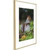 image:imageGolden State Art 11x14 Picture Frame 3 Pack  Aluminum Frames with 8x10 Removable Mats amp Real Glass Display 11x14 Posters or 8x10 Photos  Gold Gallery Wall Frames for Home Office DecorGold