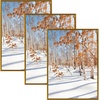image:imageGolden State Art 11x14 Picture Frame 3 Pack  Aluminum Frames with 8x10 Removable Mats amp Real Glass Display 11x14 Posters or 8x10 Photos  Gold Gallery Wall Frames for Home Office DecorBronze