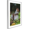 image:imageGolden State Art 11x14 Picture Frame 3 Pack  Aluminum Frames with 8x10 Removable Mats amp Real Glass Display 11x14 Posters or 8x10 Photos  Gold Gallery Wall Frames for Home Office DecorSilver