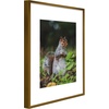 image:imageGolden State Art 11x14 Picture Frame 3 Pack  Aluminum Frames with 8x10 Removable Mats amp Real Glass Display 11x14 Posters or 8x10 Photos  Gold Gallery Wall Frames for Home Office DecorBronze