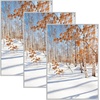 image:imageGolden State Art 11x14 Picture Frame 3 Pack  Aluminum Frames with 8x10 Removable Mats amp Real Glass Display 11x14 Posters or 8x10 Photos  Gold Gallery Wall Frames for Home Office DecorSilver