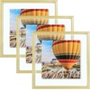 image:imageGolden State Art 16x20 Floating Picture Frame Aluminum Tempered Clear Glass Displays Any Size Photo Up to 16 x 20 for Home or Gallery Decoration Rose Gold 3 PackGold