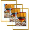 image:imageGolden State Art 16x20 Floating Picture Frame Aluminum Tempered Clear Glass Displays Any Size Photo Up to 16 x 20 for Home or Gallery Decoration Rose Gold 3 PackBronze