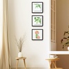 image:imageGolden State Art 16x20 Floating Picture Frame Aluminum Tempered Clear Glass Displays Any Size Photo Up to 16 x 20 for Home or Gallery Decoration Rose Gold 3 PackBlack