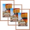 image:imageGolden State Art 16x20 Floating Picture Frame Aluminum Tempered Clear Glass Displays Any Size Photo Up to 16 x 20 for Home or Gallery Decoration Rose Gold 3 PackRose Gold