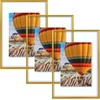 image:imageGolden State Art 16x20 Floating Picture Frame Aluminum Tempered Clear Glass Displays Any Size Photo Up to 16 x 20 for Home or Gallery Decoration Rose Gold 3 PackBronze