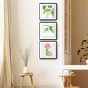 image:imageGolden State Art 16x20 Floating Picture Frame Aluminum Tempered Clear Glass Displays Any Size Photo Up to 16 x 20 for Home or Gallery Decoration Rose Gold 3 PackBlack