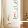 image:imageGolden State Art 16x20 Floating Picture Frame Aluminum Tempered Clear Glass Displays Any Size Photo Up to 16 x 20 for Home or Gallery Decoration Rose Gold 3 PackBlack