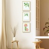 image:imageGolden State Art 16x20 Floating Picture Frame Aluminum Tempered Clear Glass Displays Any Size Photo Up to 16 x 20 for Home or Gallery Decoration Rose Gold 3 PackGold