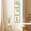 image:imageGolden State Art 16x20 Floating Picture Frame Aluminum Tempered Clear Glass Displays Any Size Photo Up to 16 x 20 for Home or Gallery Decoration Rose Gold 3 PackBronze