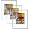 image:imageGolden State Art 16x20 Floating Picture Frame Aluminum Tempered Clear Glass Displays Any Size Photo Up to 16 x 20 for Home or Gallery Decoration Rose Gold 3 PackSilver