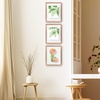 image:imageGolden State Art 16x20 Floating Picture Frame Aluminum Tempered Clear Glass Displays Any Size Photo Up to 16 x 20 for Home or Gallery Decoration Rose Gold 3 PackRose Gold