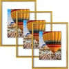 image:imageGolden State Art 16x20 Floating Picture Frame Aluminum Tempered Clear Glass Displays Any Size Photo Up to 16 x 20 for Home or Gallery Decoration Rose Gold 3 PackBronze