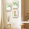image:imageGolden State Art 16x20 Floating Picture Frame Aluminum Tempered Clear Glass Displays Any Size Photo Up to 16 x 20 for Home or Gallery Decoration Rose Gold 3 PackBronze